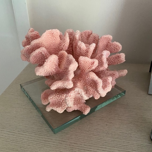 Other - ❤️FINAL PRICE❤️ Deco statement blush PINK coral